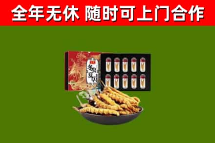 榕江县回收冬虫夏草价格
